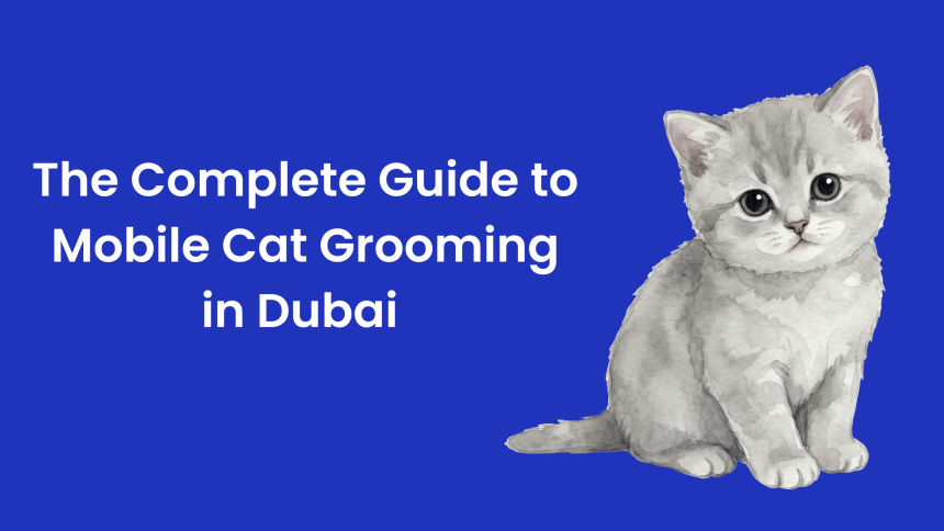 mobile cat grooming dubai