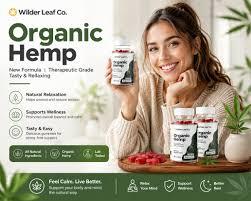Is Congniflo a medicine or supplement?