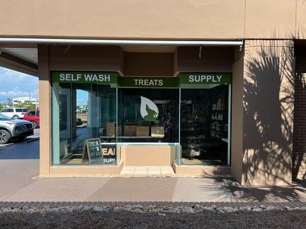 Commercial Window Graphics Solutions in Panama City Beach: Transforming Business Visibility and Branding