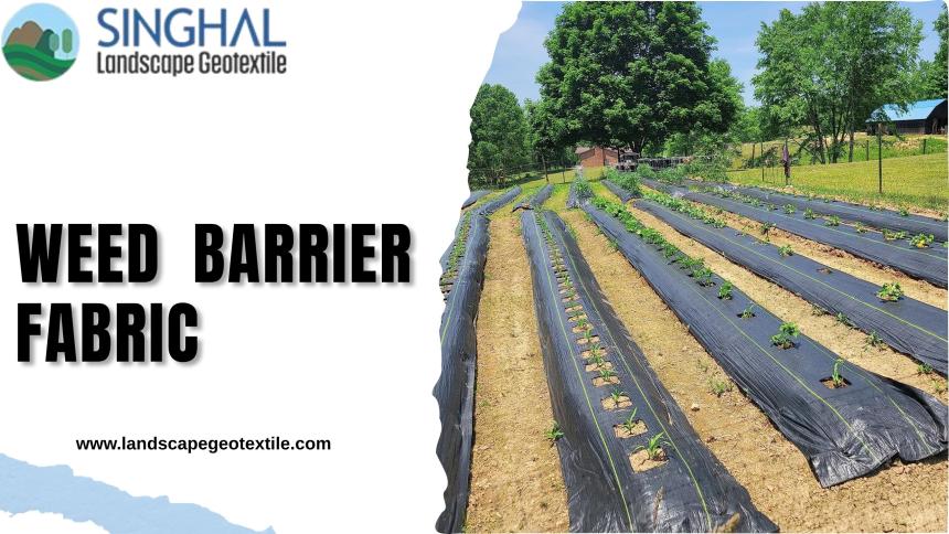 Weed Barrier Fabric Supporting Healthy Plant Development