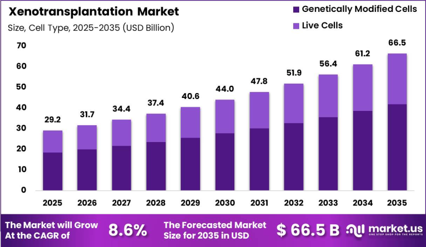 Xenotransplantation Market Witnesses Rising Investment in Biotechnology