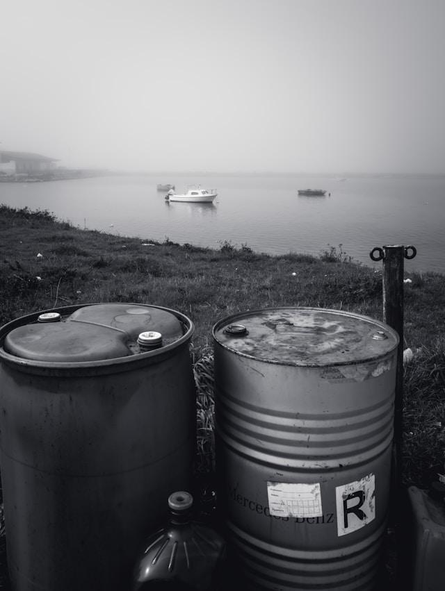 Rain Barrels Market Trends: The Future of Sustainable Rainwater Collection Systems