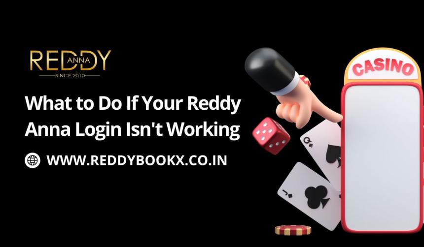 What to Do If Your Reddy Anna Login Isn't Working