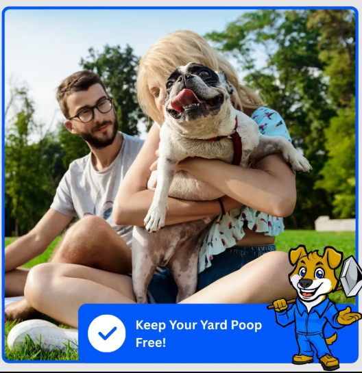 Reliable Dog Pooper Scooper Solutions for Busy Pet Owners: Convenient Pet Waste Removal