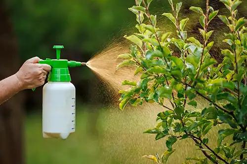 Insecticide Manufacturing Plant Report 2026: Raw Materials, Machinery Cost and ROI Analysis
