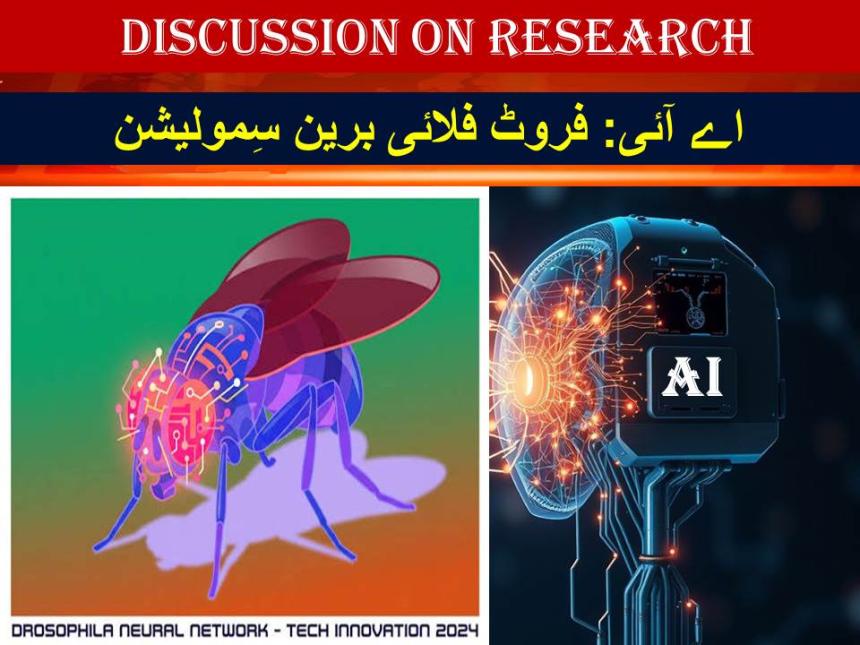 اے آئی: فروٹ فلائی برین سِمولیشن
