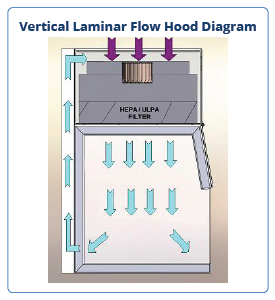 Why Are Vertical Laminar Flow Hoods Preferred for Cleanrooms?