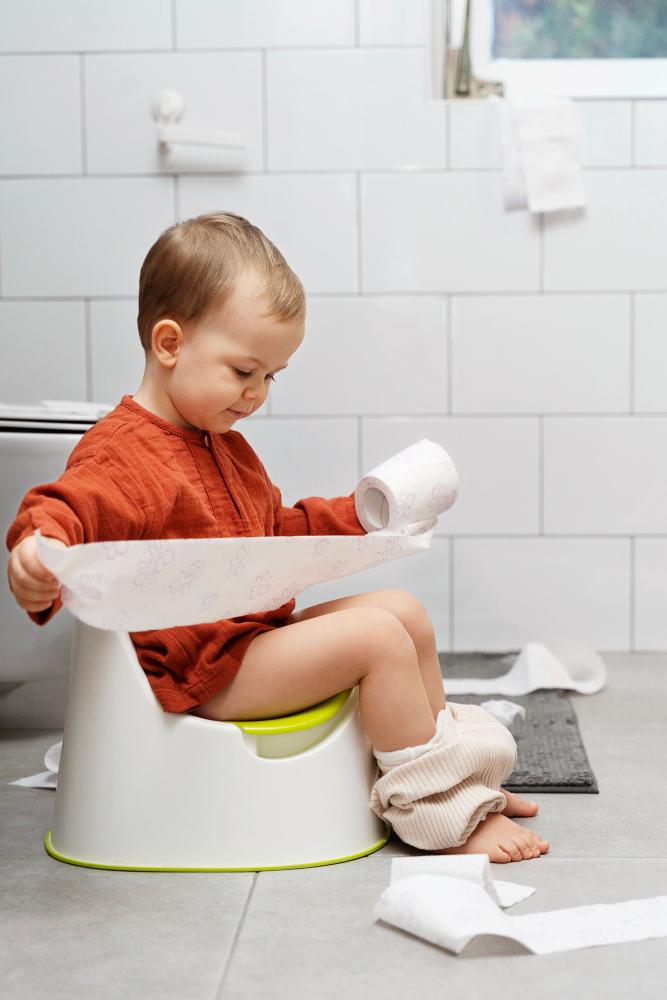 Global Market Insights: How Potty Training Tools and Step Stools Are Redefining Toddler Development