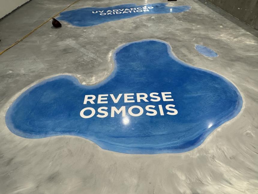 How Custom Floor Graphics Help Jacksonville Auto Dealerships Create Stronger Showroom Experiences
