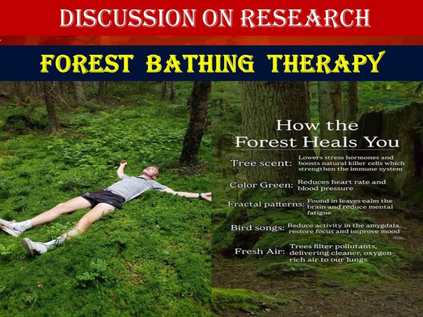 Forest Bathing Therapy