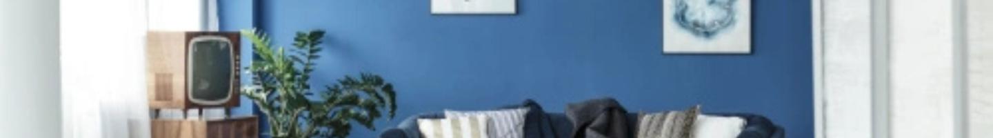 Javiers Painting Handyman Service