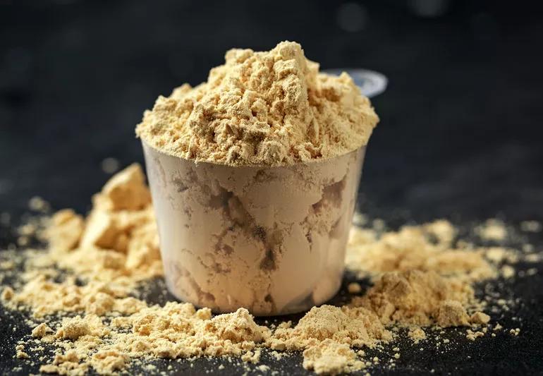 Pea Protein Powder Manufacturing Plant
