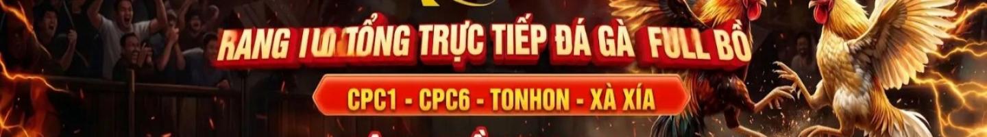 Cá cược đá gà HT368