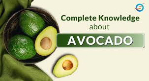 Avocado is a nutrient-rich fruit