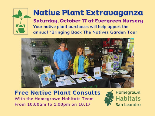 California native garden