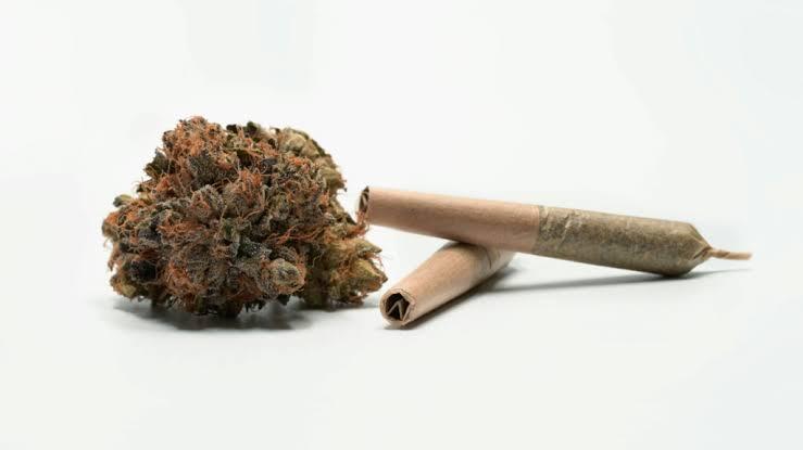 Indica vs Sativa: Realizing Pot Forms, Side effects, Gains, in addition to Dissimilarities