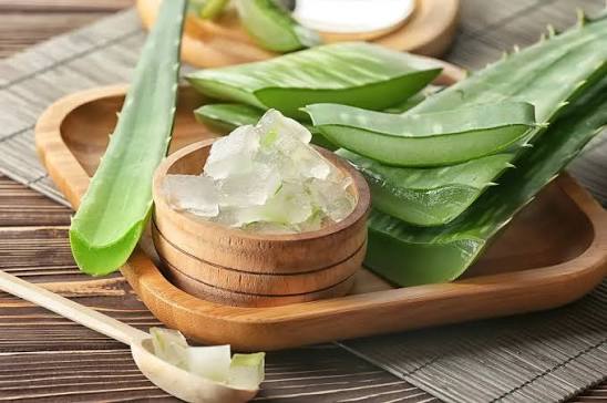 Aloe Vera Gel Manufacturing Plant Project Report 2026: Industry Analysis, Unit Setup, Cost Requirements