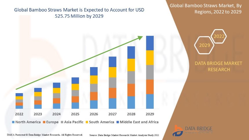 Bamboo Straws Market: Key Players & Future Growth Outlook