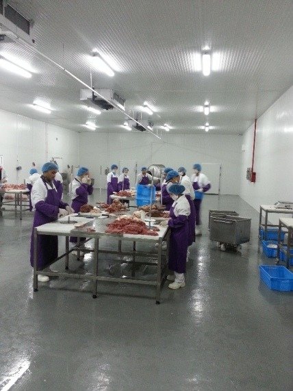 Complete Shawarma Factory Setup Solutions for Efficient Meat Production